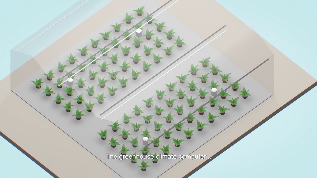 Imagine a greenhouse dimmer switch so sunlight could be matched precisely to crop needs (EN).
