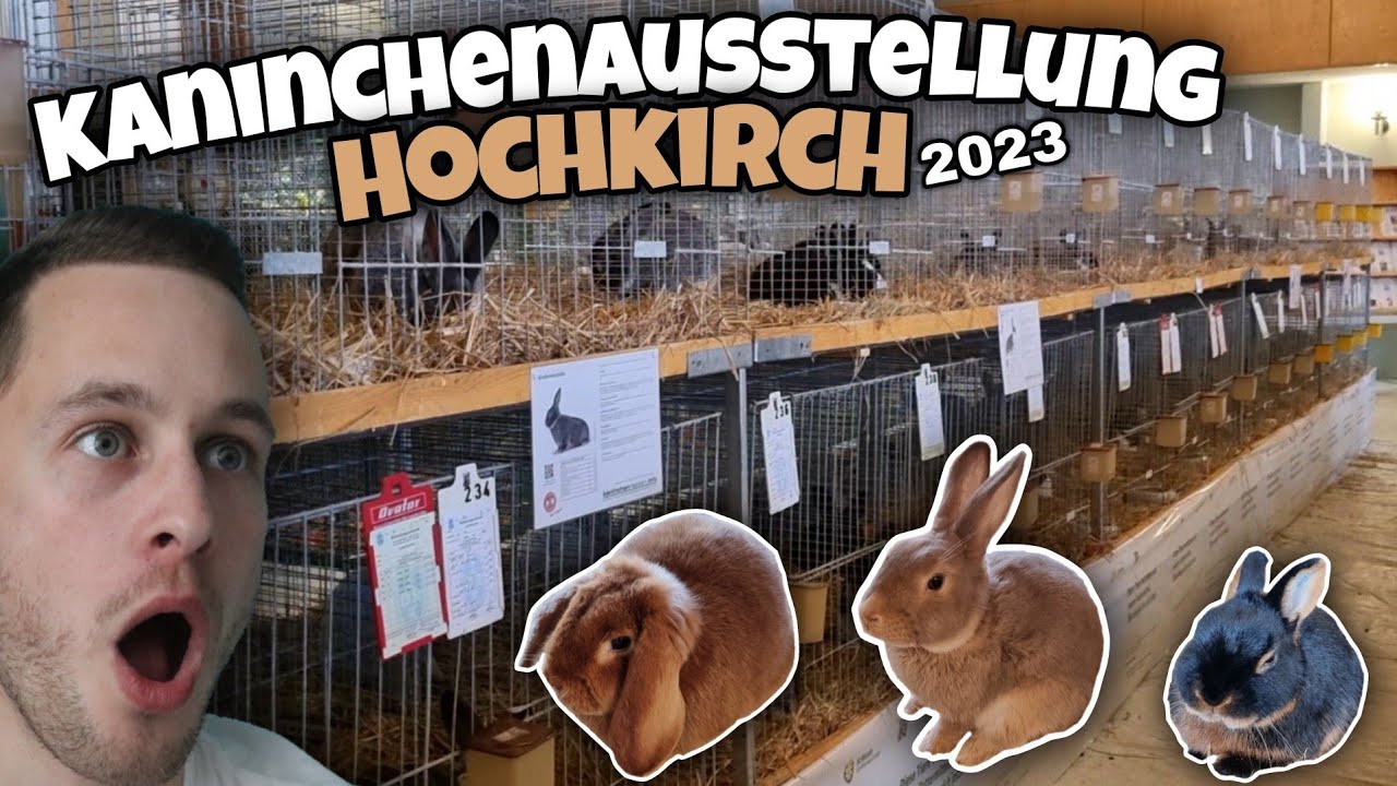 Kaninchenausstellung Hochkirch 2023 😯🐇 Kleintiershow  | Schustrich S 2.0 ⭐