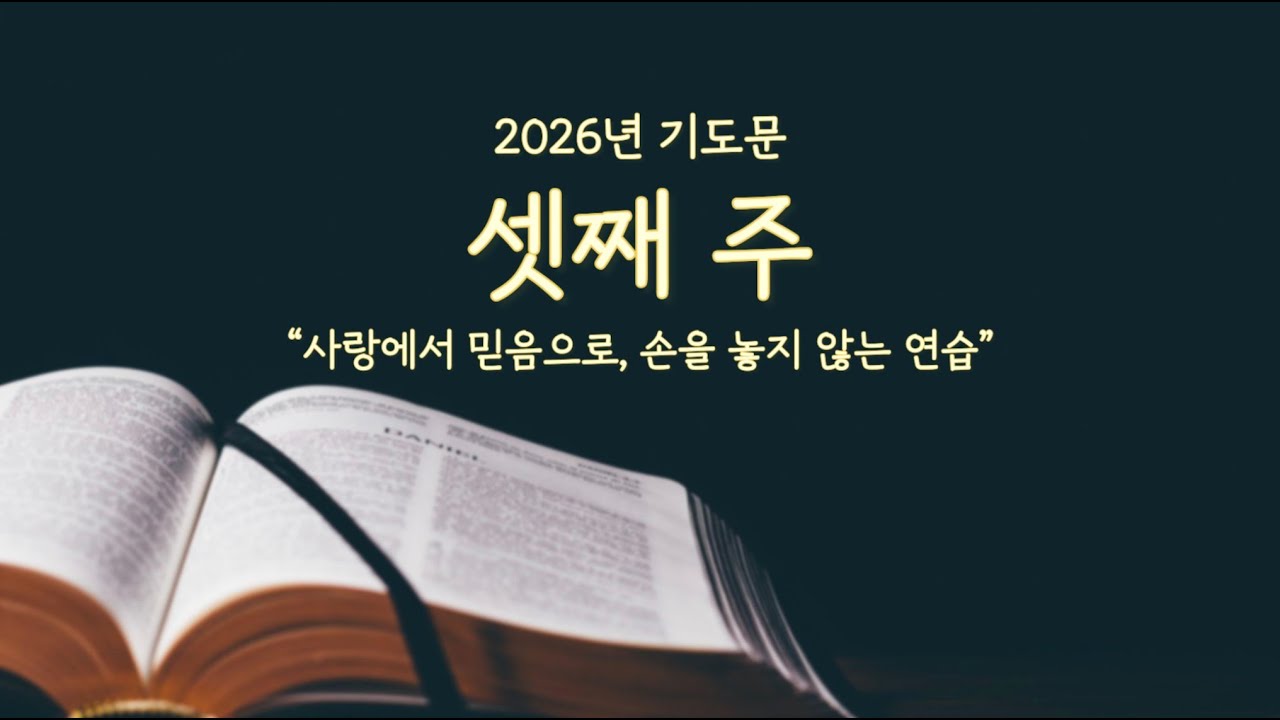[위로올림] 2026년 3주차 기도 | 사랑에서 믿음으로, 손을 놓지 않는 연습