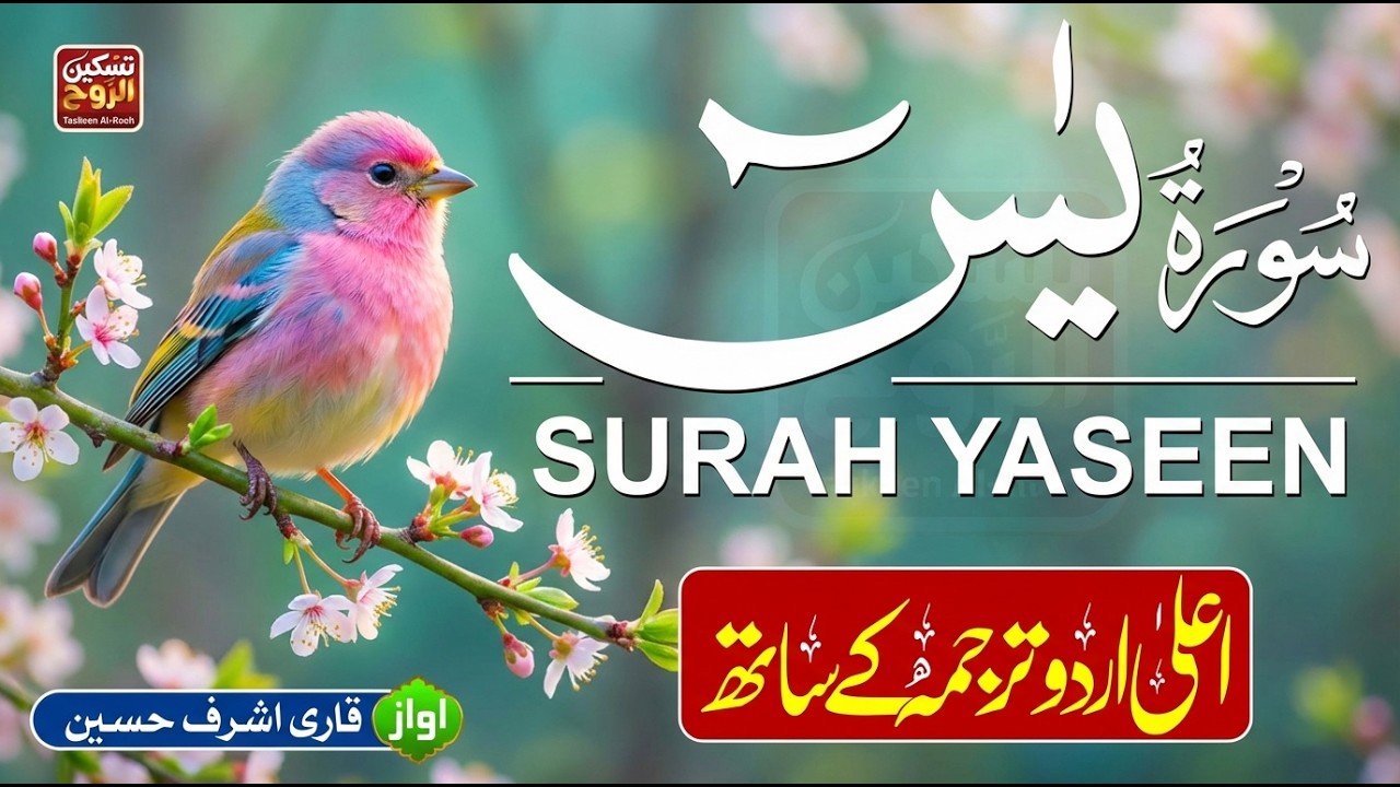 Surah Yaseen (سورۃ یس) | Ramadan Special Tilawat with Urdu & Hindi Translation #TaskeenAlRooh