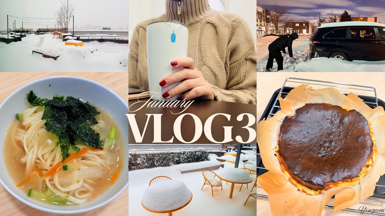 VLOG | Snow Storm | Stay Safe | Stay Warm | 눈폭풍 | 미국생활정착기