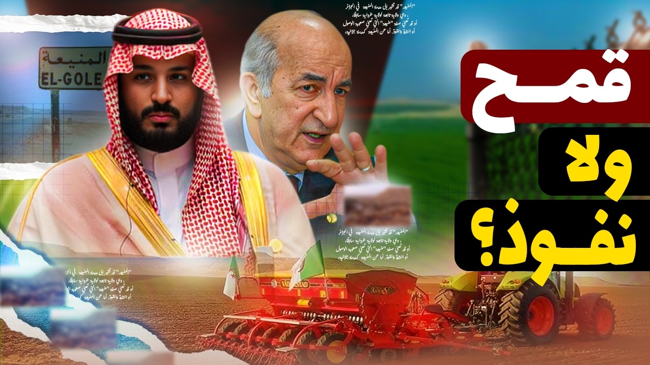 ليه السعودية بتزرع في صحراء الجزائر؟ خطة عبقرية ولا استعمار زراعي؟