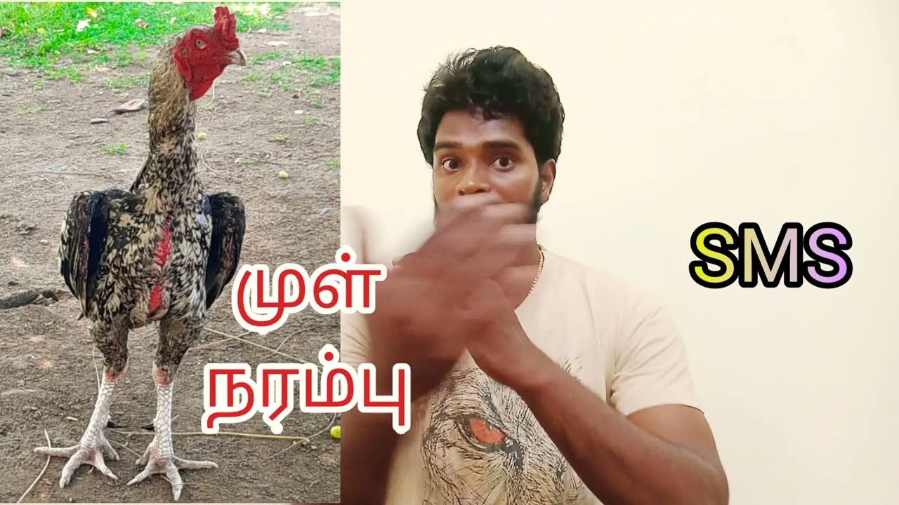 நரம்புஅப்படியா👉 கூவ்தாடி கால்இசரா,