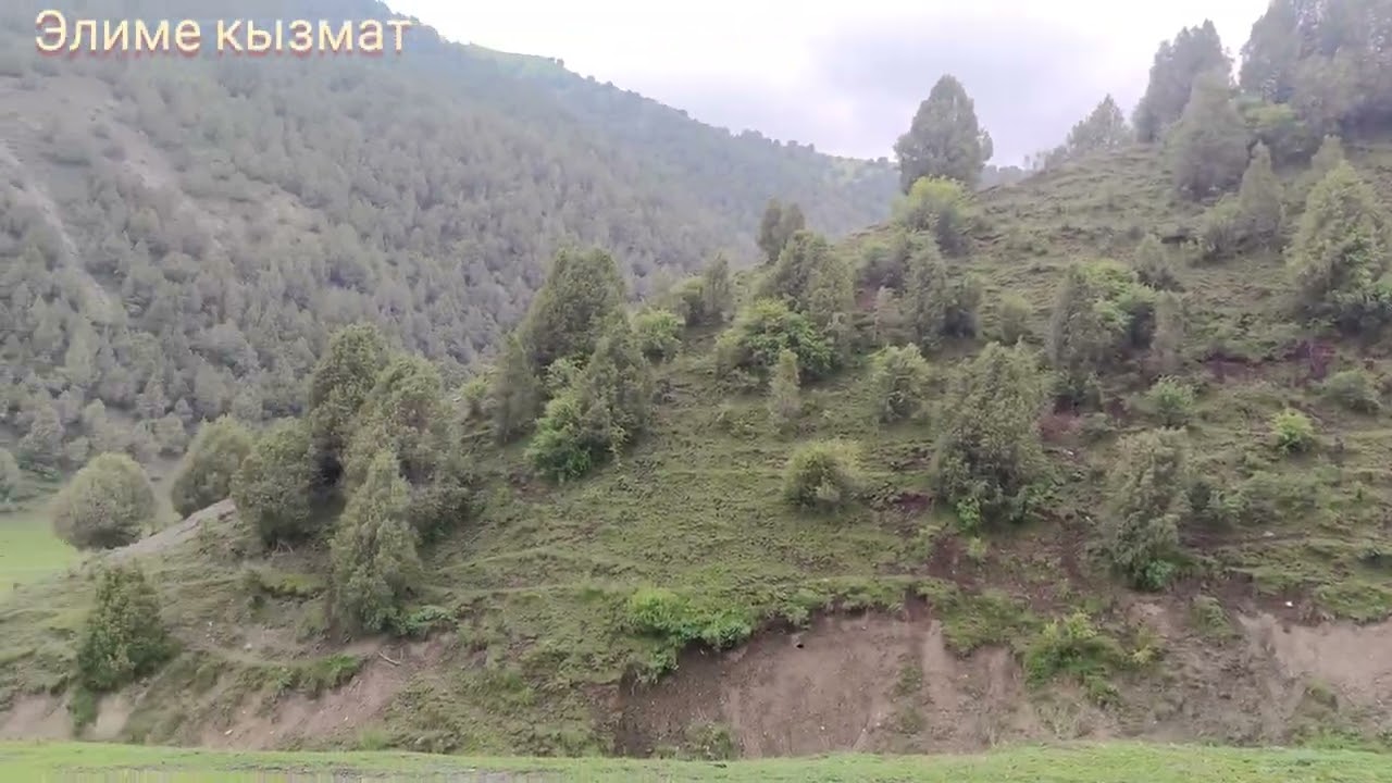 Беш конуш жайлоосу 29- май 2022-жыл