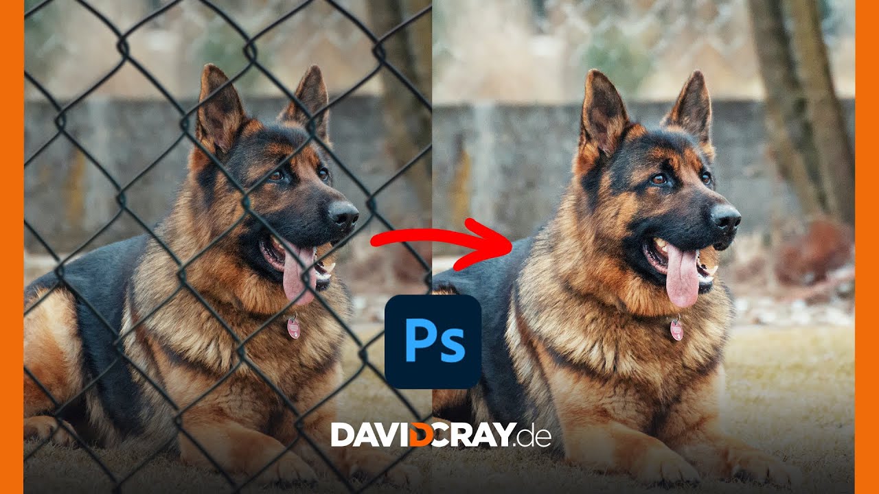 Zaun entfernen in Photoshop I Tutorial David Cray