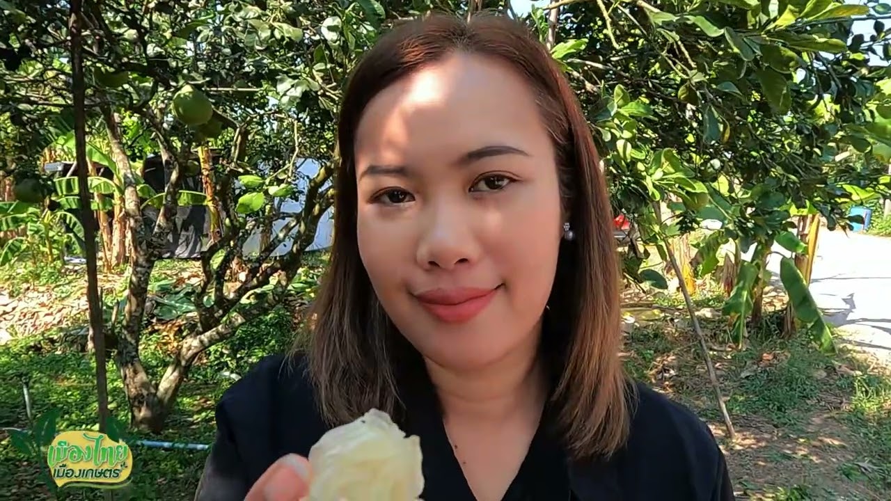 เมืองไทยเมืองเกษตร ตอน เกษตรแปลงใหญ่ ส้มโอ ผลไม้GIสมุทรสงคราม
