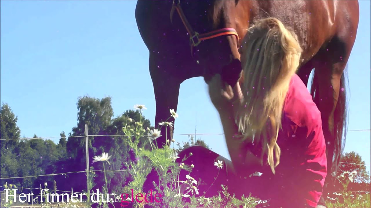Introfilm til -Rosalie p&aring; hest.no