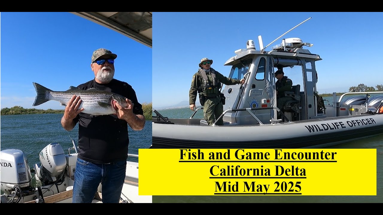 Fish and Game - California Delta - Striper Fishing