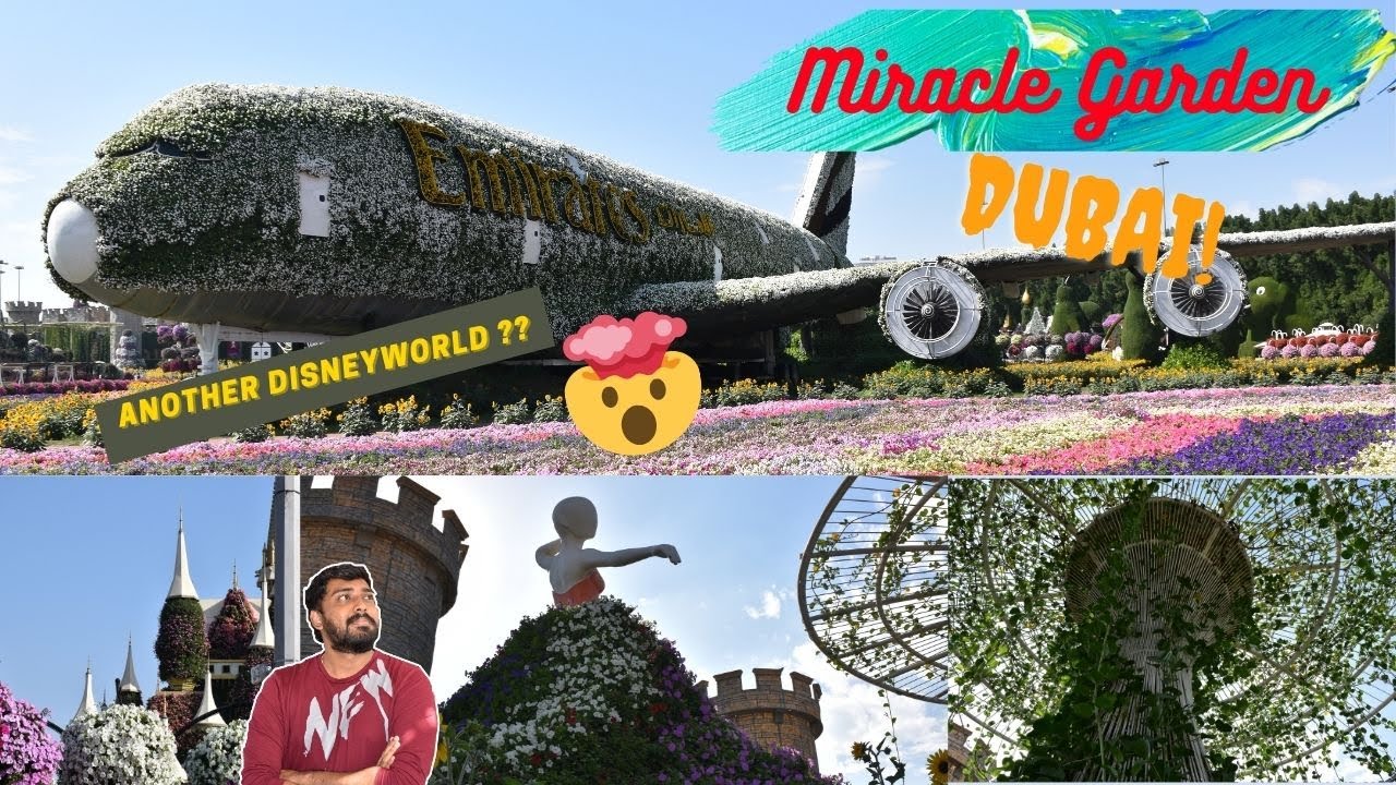Most Romantic Place - Miracle Garden - Dubai - 2021 | Perfect Boss