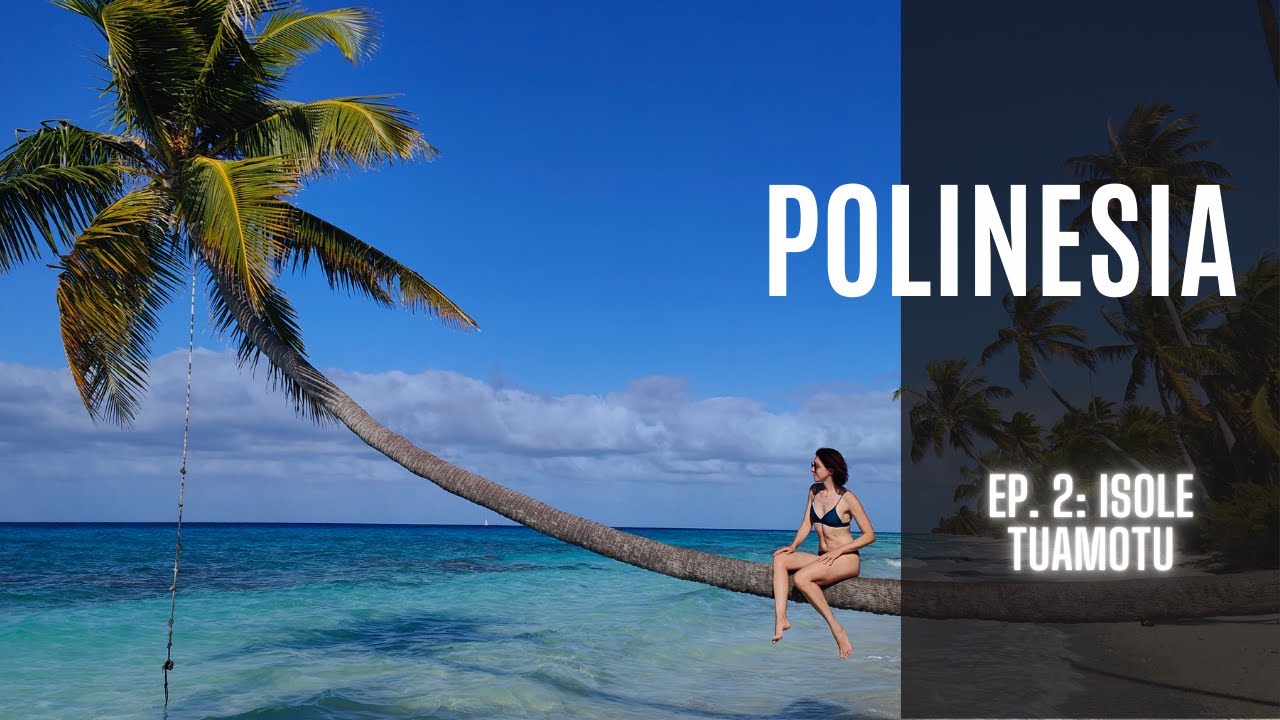 Isole Tuamotu 🌊 La Polinesia più selvaggia 🦈