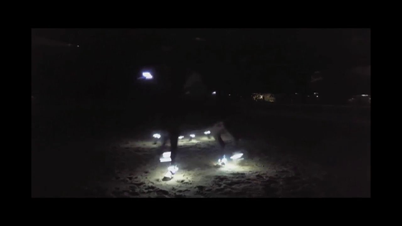 Glow in the dark: RDA horses meets Star Wars