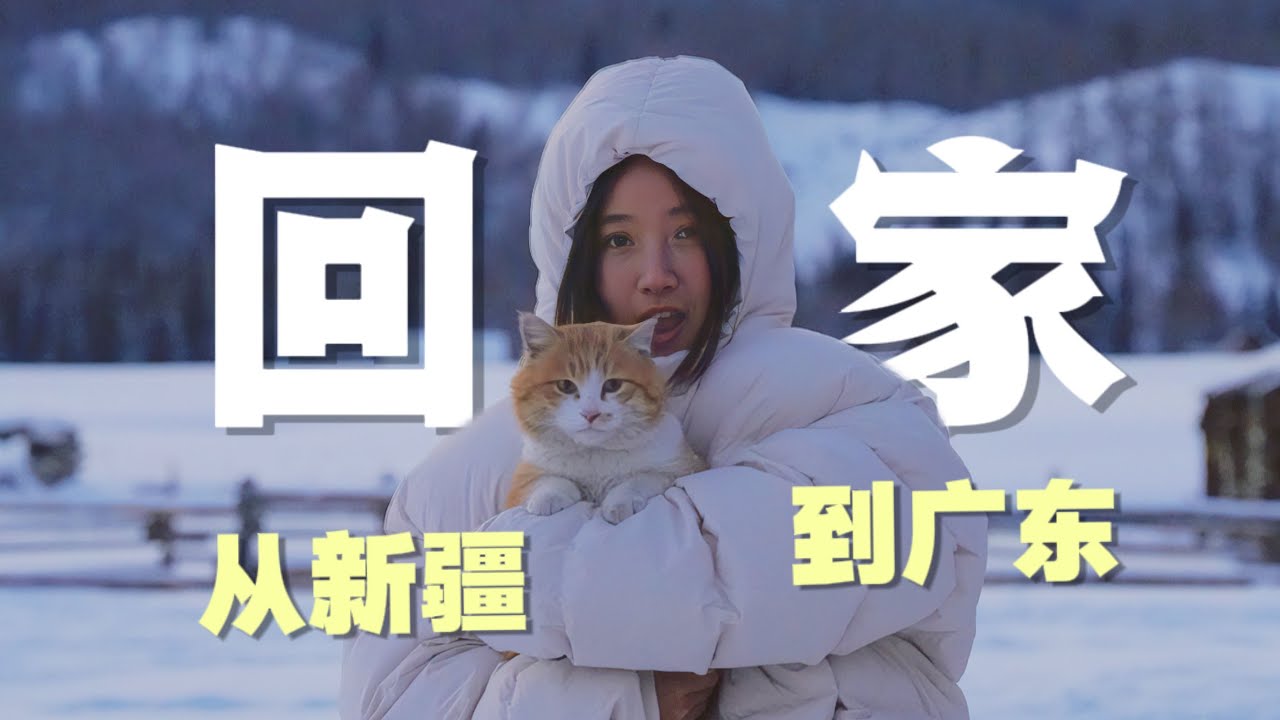 逃离零下20度：小猫，咱们回家吧｜我在新疆捡了只猫