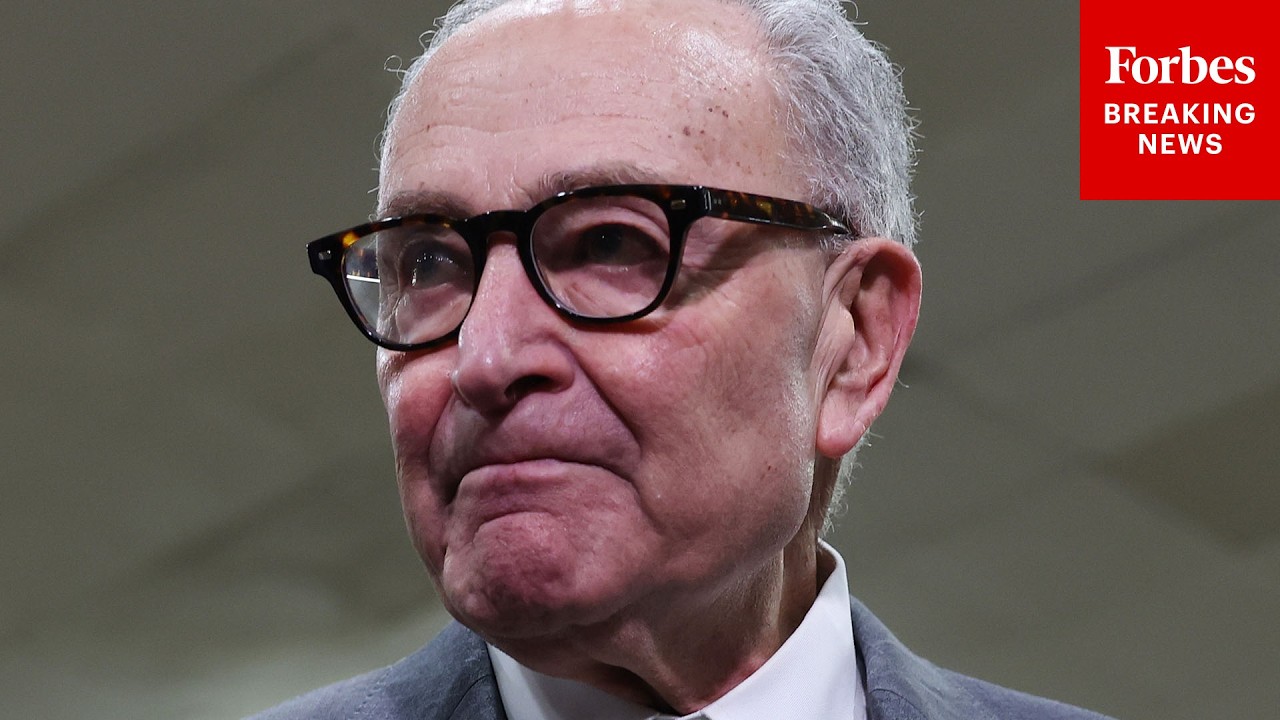 Schumer Reacts To Poll Showing 85% Of Voters Back Voter ID