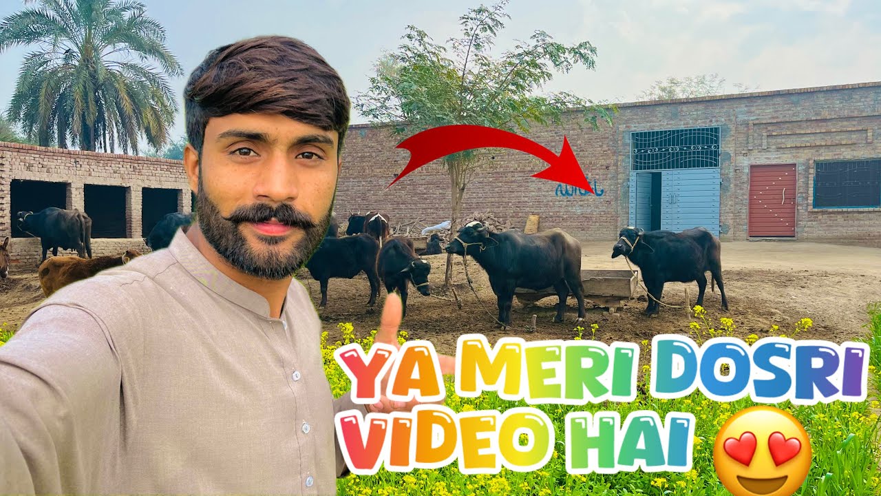 Ya Meri Dosri Video Youtube Per 🥰