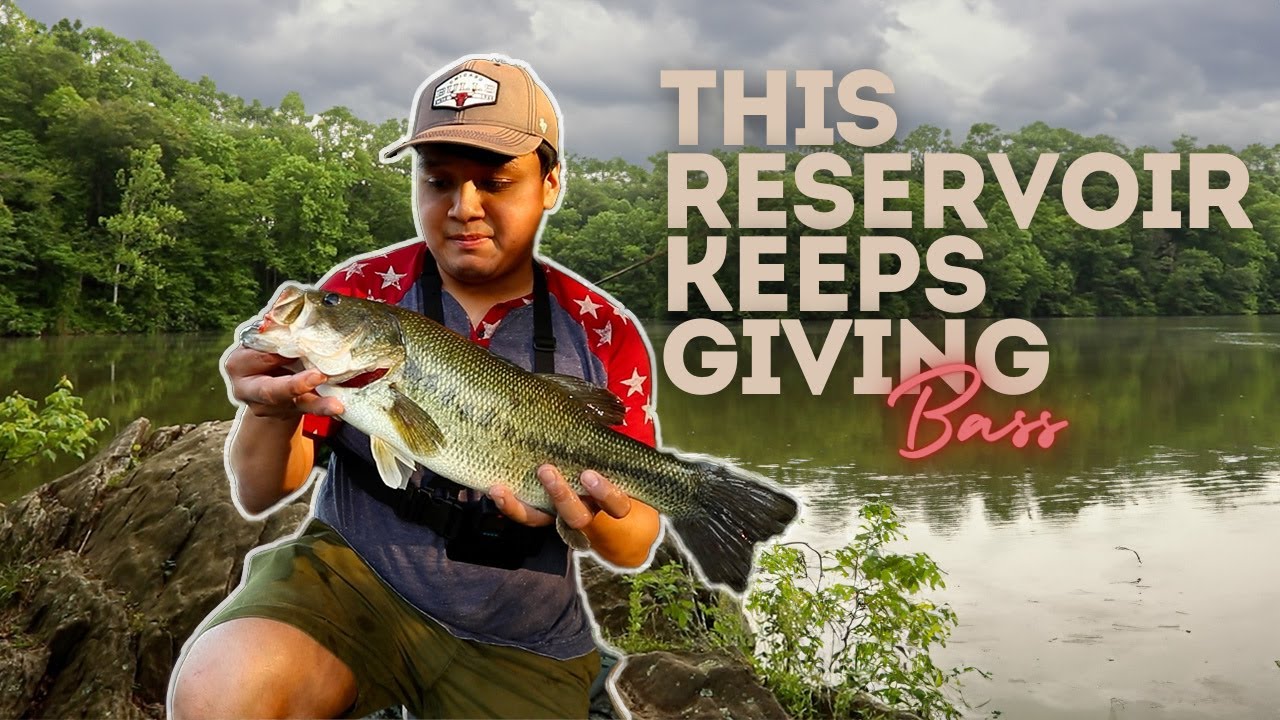 Fishing Near Cover for Bass in Big Flooded Reservoir (Triadelphia)