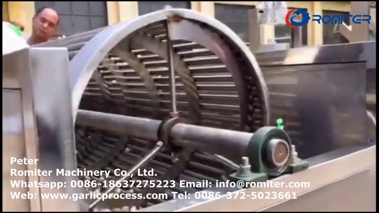 Automatic Garlic Seeds Size Sorting Grading Machine