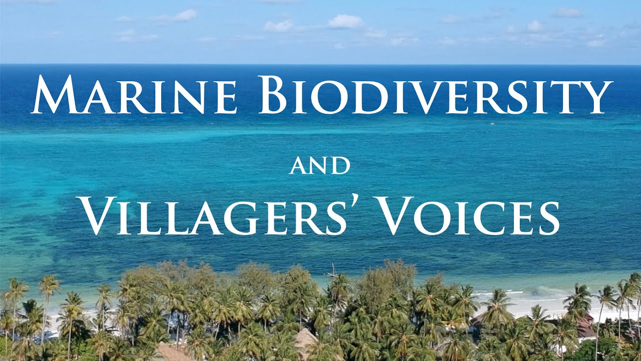 Marine Biodiversity and Villagers' Voices ... islands of coastal Tanzania and Zanzibar