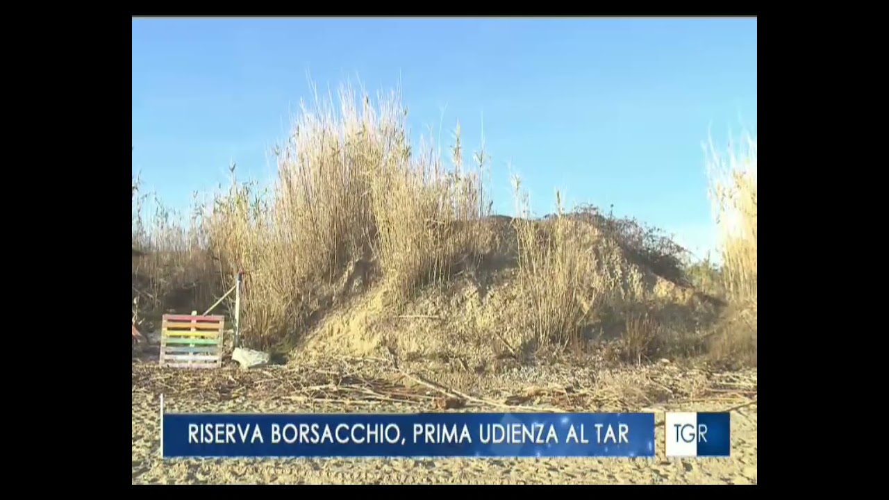 Riserva Borsacchio, la battaglia inizia: dal TAR alla Corte Costituzionale | TG3