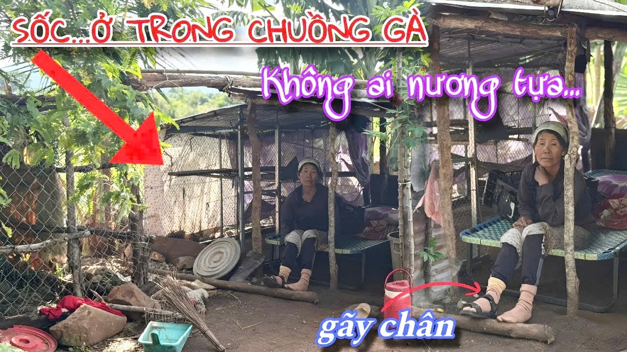 ​XÓT XA CÙNG CỰC mẹ già bị G/Ã/Y CHÂN, không chồng con, không nhà cửa, Ở trong chuồng GÀ../641