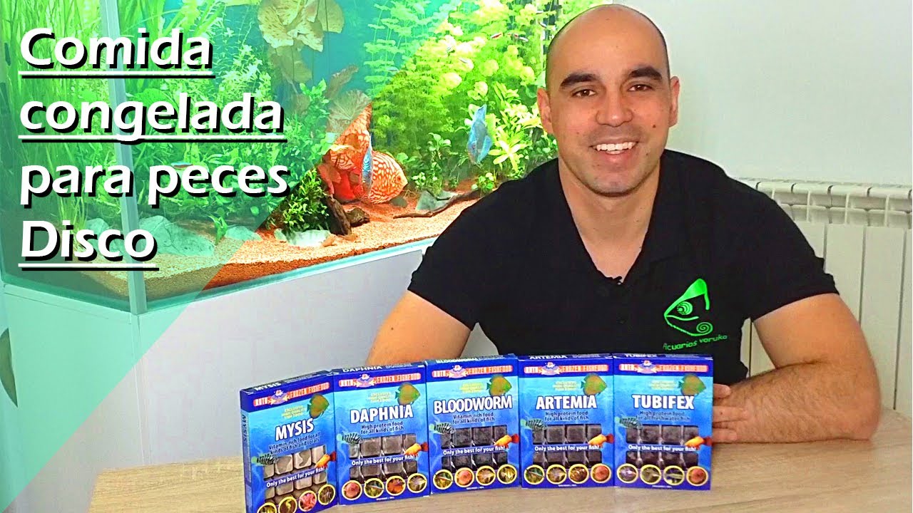 39🧊.- Tipos de COMIDA / ALIMENTO Congelado para PECES Disco (Peces Tropicales de agua dulce)