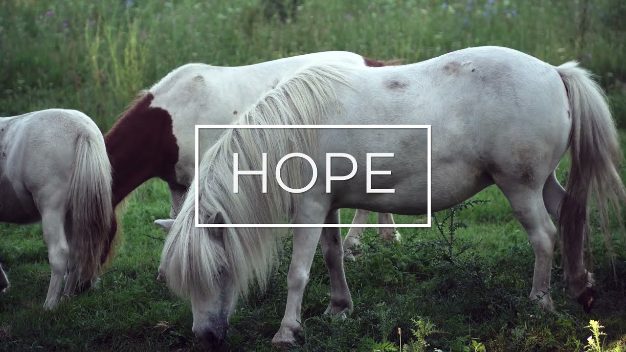 Music for Hope & Determination - Escape, Relax and Breath | Meditation Music