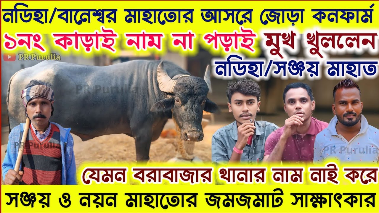 নডিহা/বানেশ্বর মাহাতোর আসরে জোড়া কনফার্ম হয়ে গেলো★সঞ্জয় ও নয়ন মাহাতোর পাওয়ারফুল বক্তব্য।