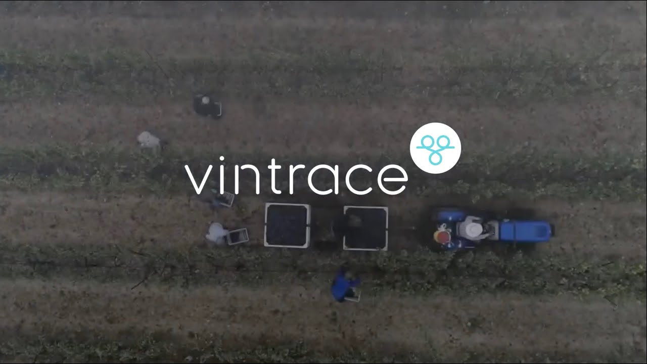vintrace Winery Software in 2 minutes