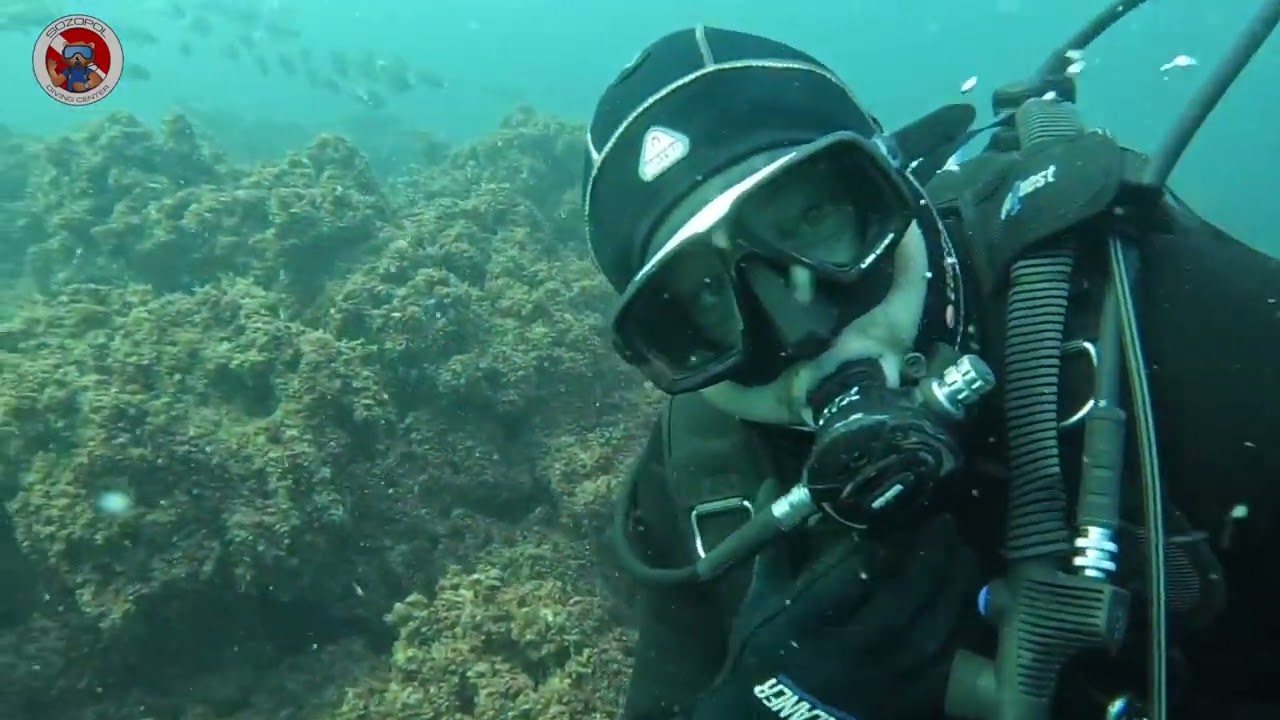 Coral garden, Sozopol,Bulgaria