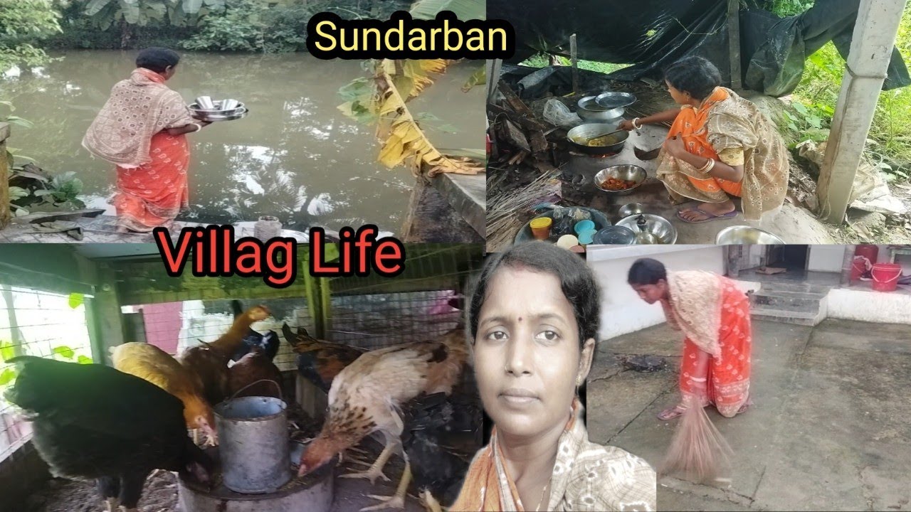Indian women village lifestyle || My morning routine #Vlogvideo #vlog #Sundarban 