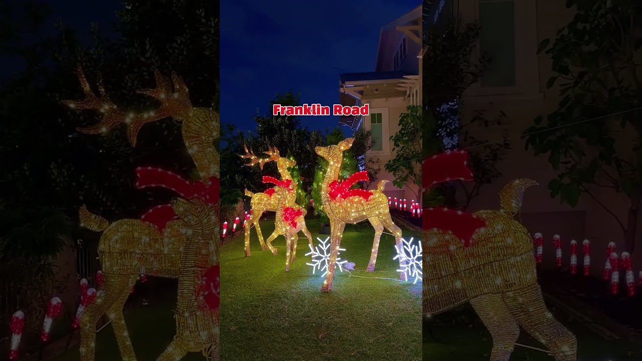 Christmas lights in Auckland #christmas #auckland #newzealand #aucklandchristmas #christmasevents