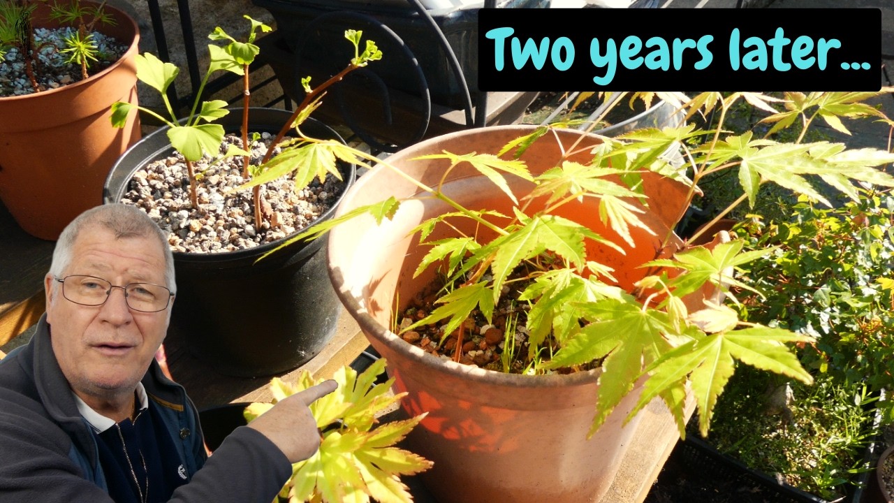“Stop Overcomplicating Cuttings! What Really Works (With Evidence)”