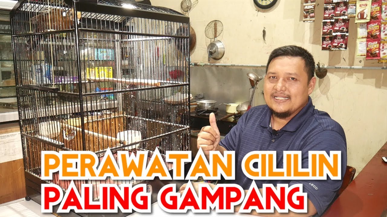 Cara Perawatan Cililin Bahan Paling Gampang