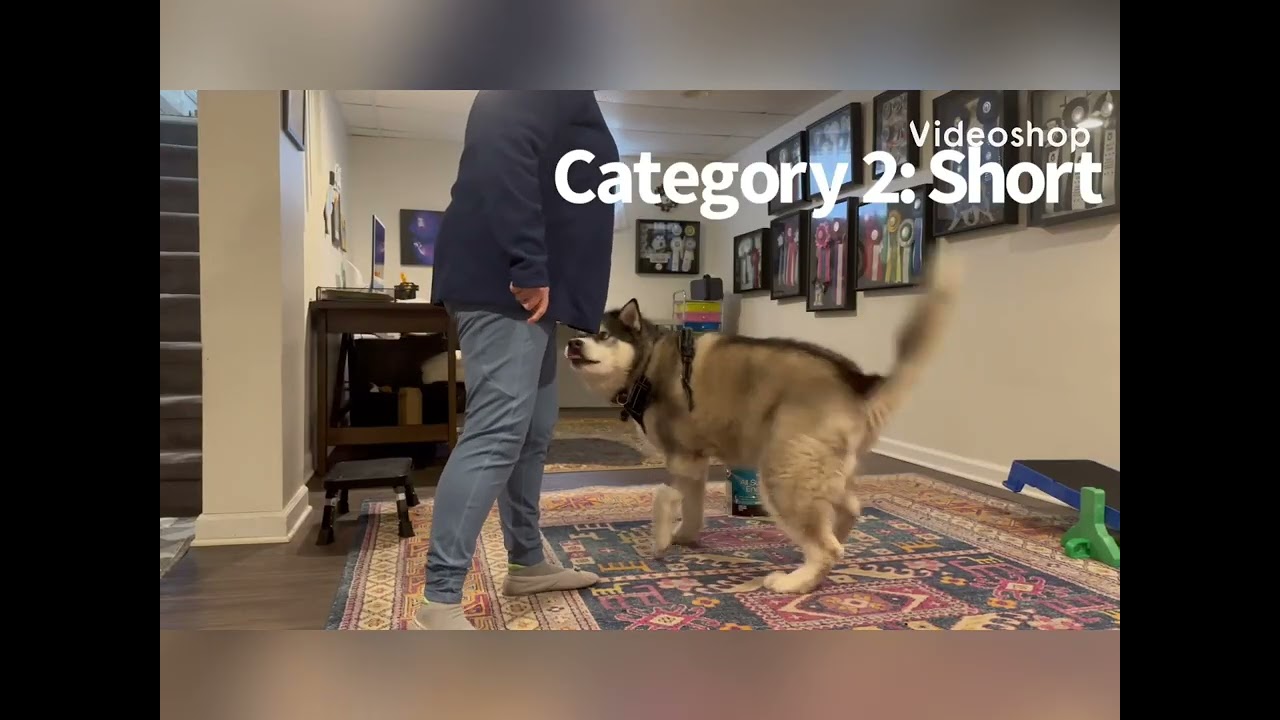 Veda Parkour Beginner Indoors (approved 01/23/2026)