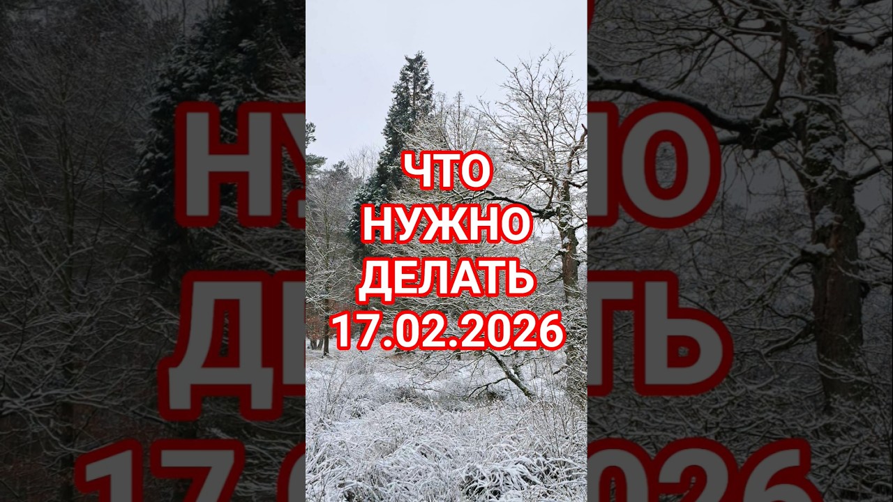 ЧТО НУЖНО ДЕЛАТЬ 17.02.2026