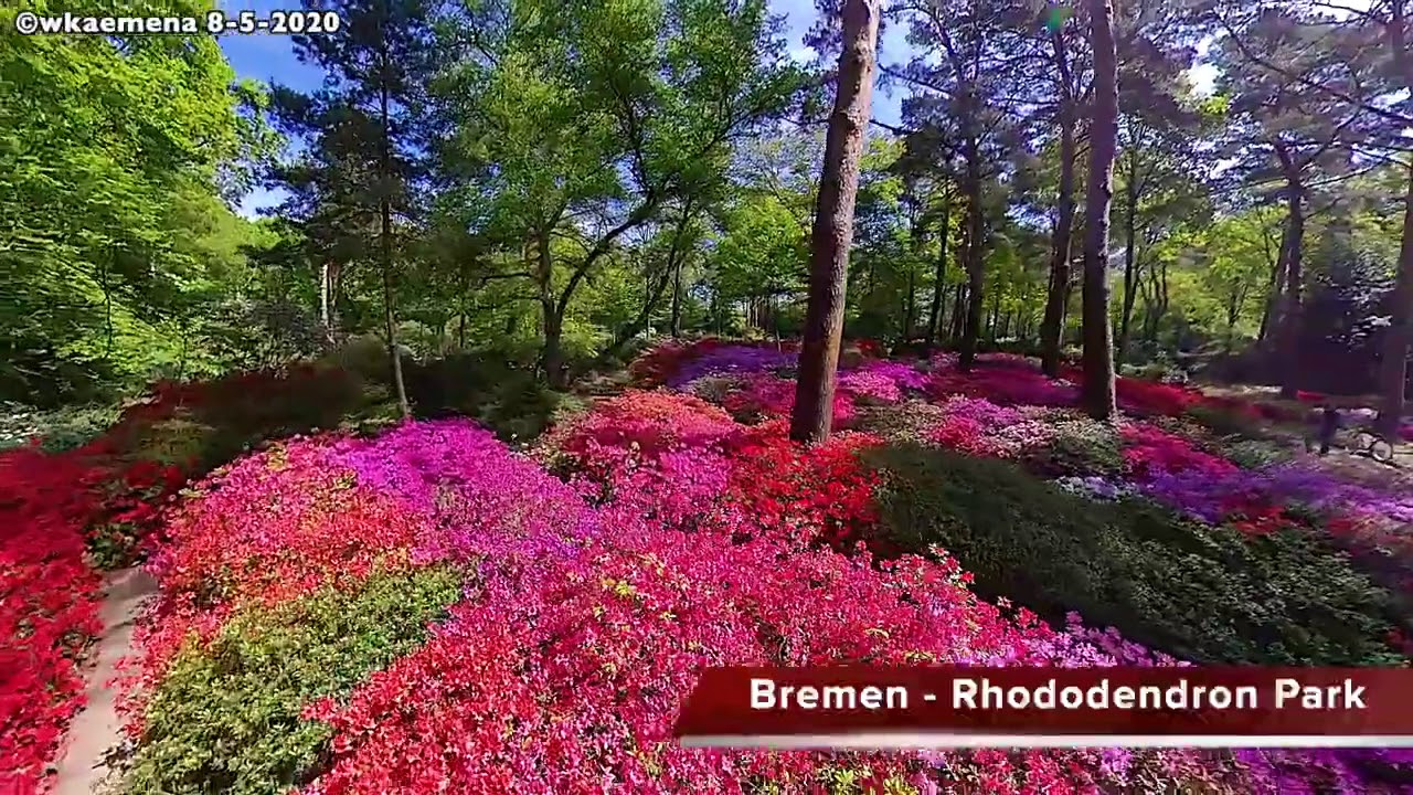 Bremen Rhododendron Park