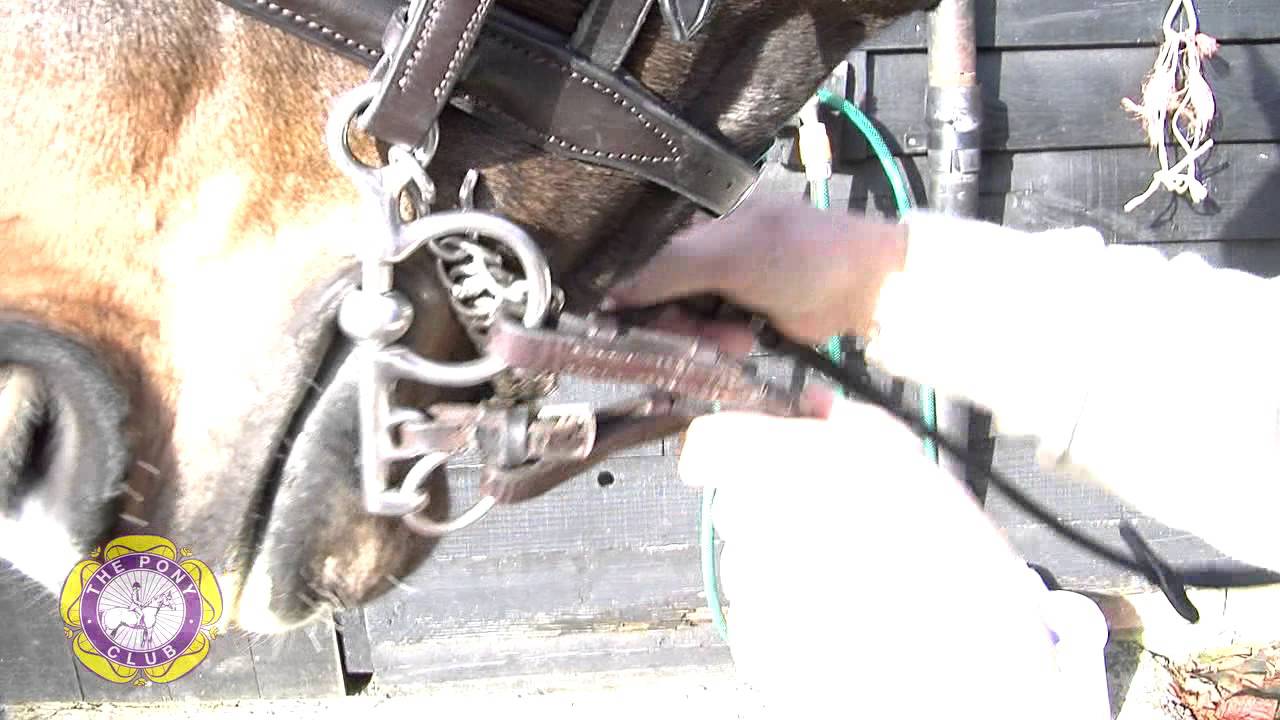 Doing up a Curb Chain