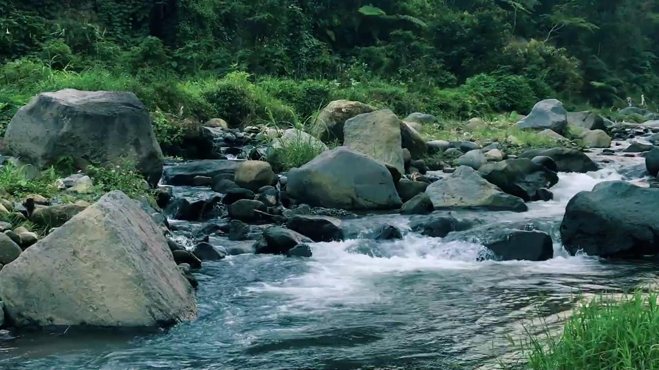 Harmonious Forest River Waterfall Background Noise | For Restful Sleep, Mental Focus & Deep Work