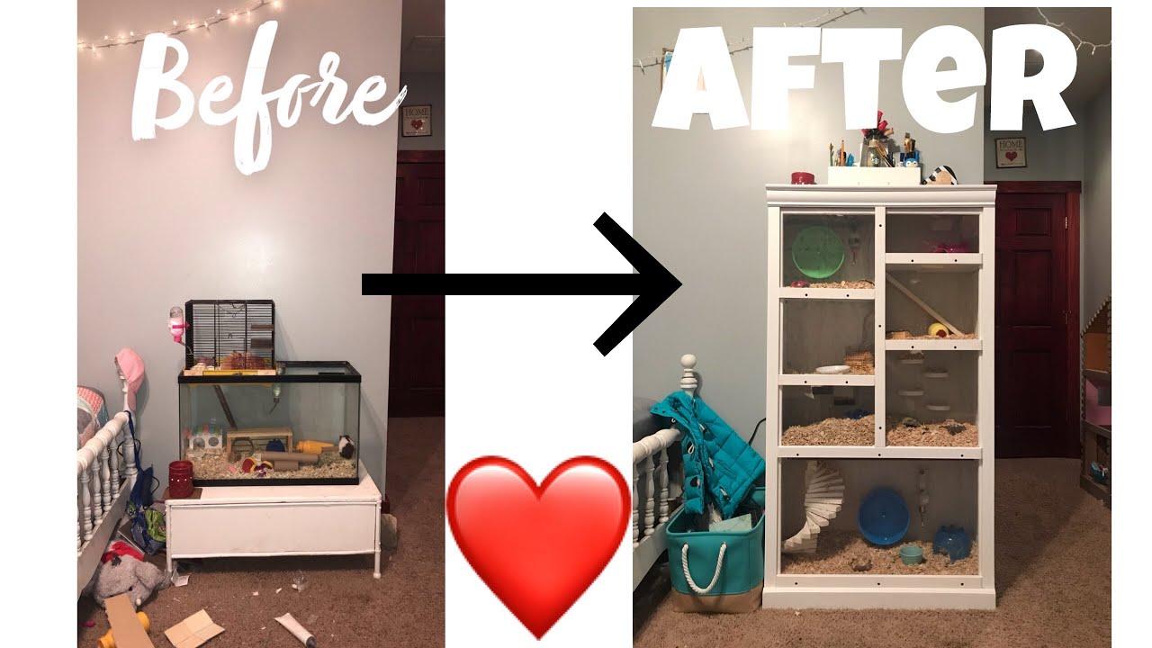 DIY Hamster Cage❤️🐹