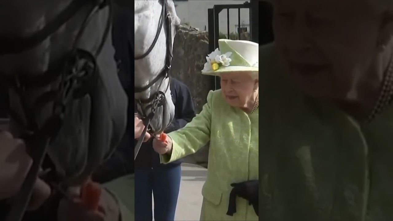 She loves horses #queenelizabet #royalfamily #royal #horses #london