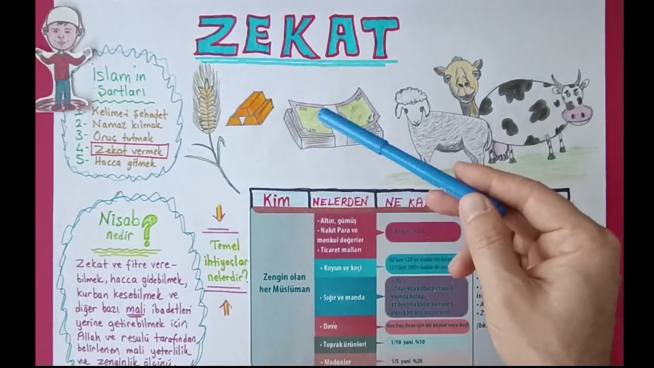 Zekat Nedir? Hangi Mallardan Ne Kadar Verilir? Kimlere Verilir Kimlere Verilmez?