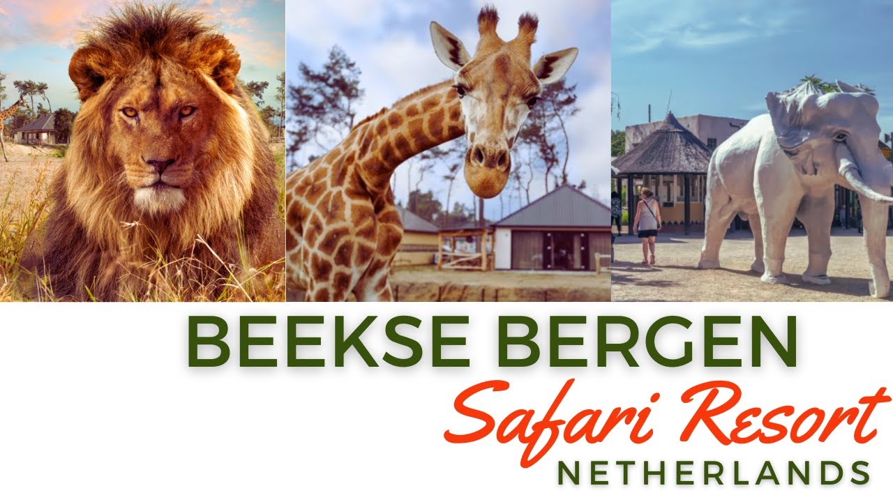 Beekse Bergen Safari Resort , Netherlands #travel