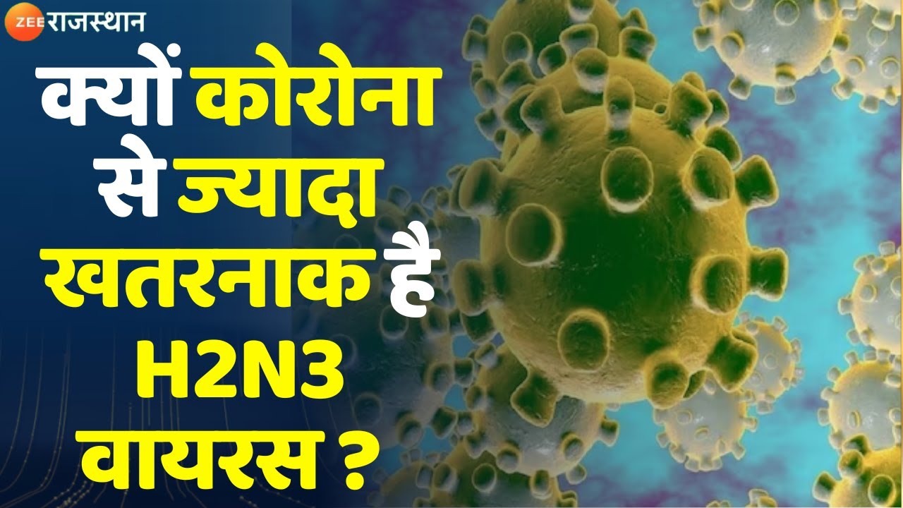 H2N3 Virus :  क्यों कोरोना से ज्यादा खतरनाक है H2N3 वायरस ? Rajasthan News |