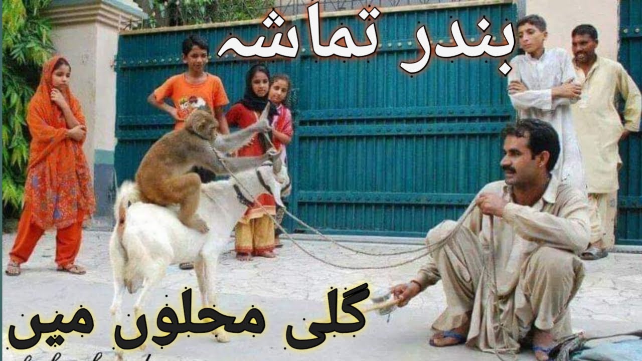 Goat And Monkey Performence in Street | Bandar or Bakray ka Tamasha | Best Comedy Video
