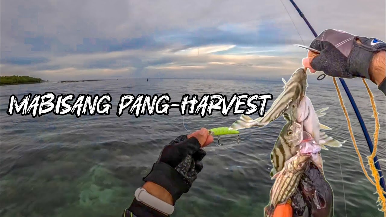 LURE NA PANG HARVEST❗