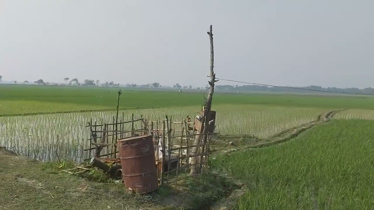 সীমান্তবর্তী গ্রামের দৃশ্য। এই গ্রামটির পরেই ইন্ডিয়া শুরু।যশোর, বেনাপোল এলাকা।