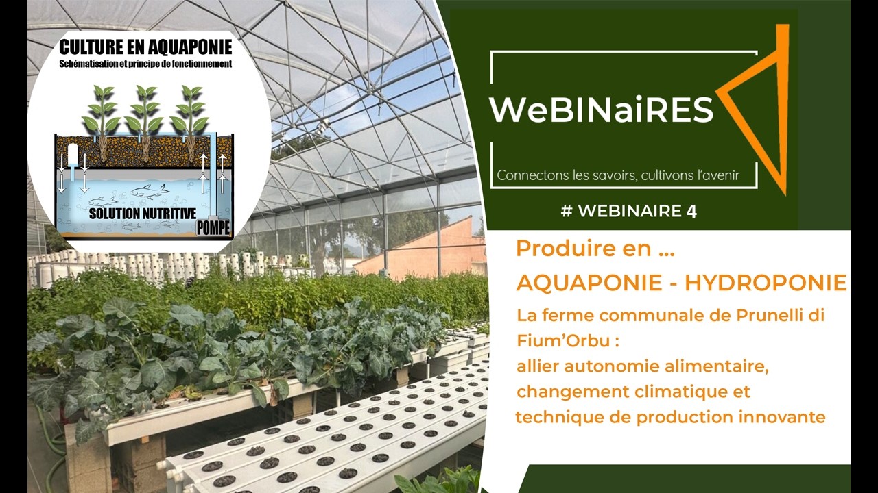 Produire en aquaponie et en hydroponie, la ferme pilote de Prunelli di Fium’Orbu