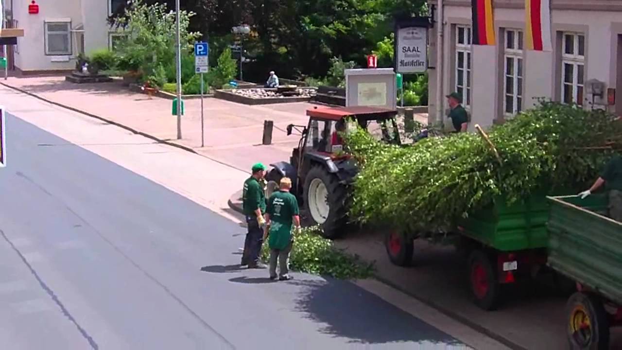 Grüne Jungs