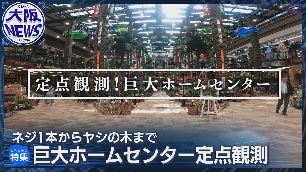 【大阪唯一のハンズマン！】関西最大級の巨大ホームセンター！ 圧巻の28万点の品ぞろえ！夏のある日に固定カメラを置いてみた。