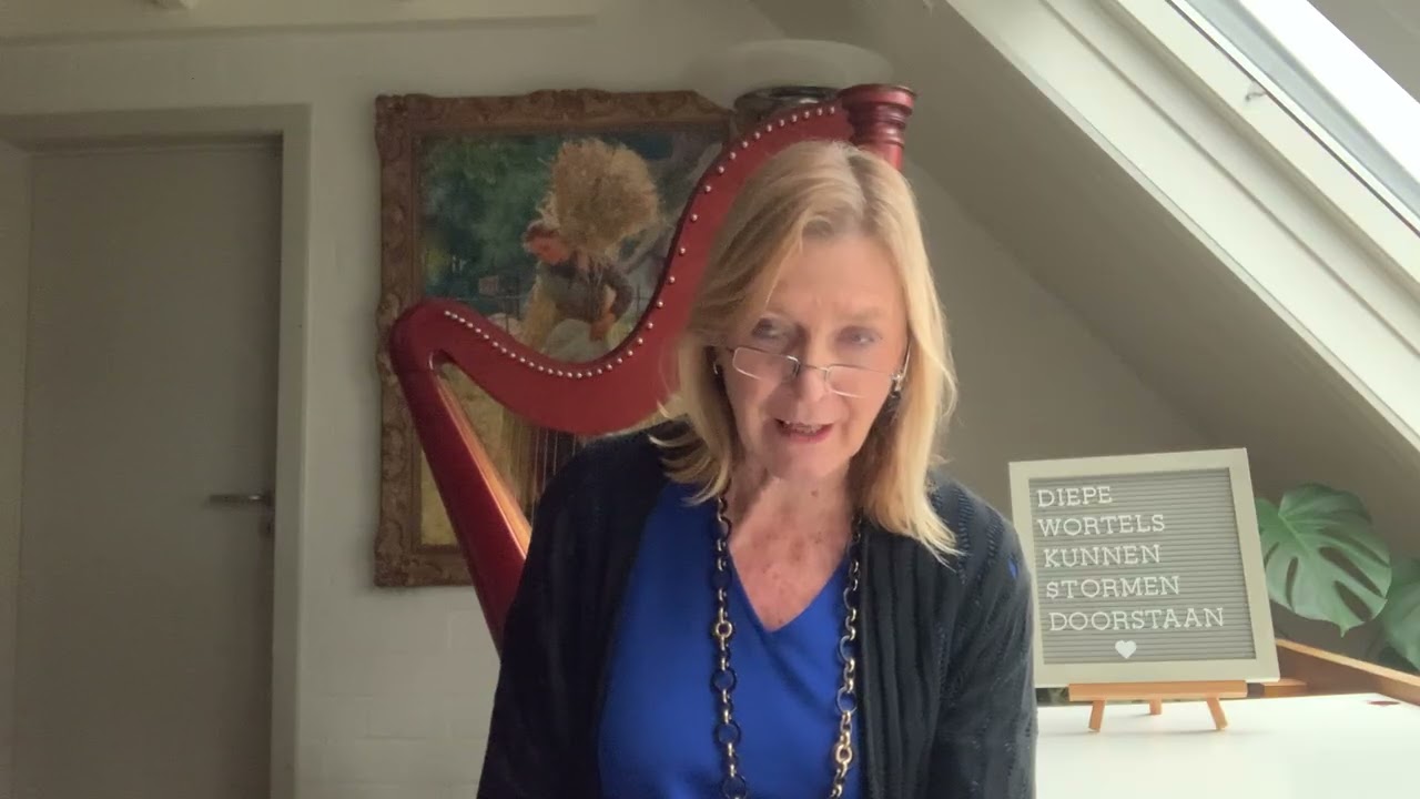 Reflectie van de dag: het Nieuwe Testament: Matteüs 14:14