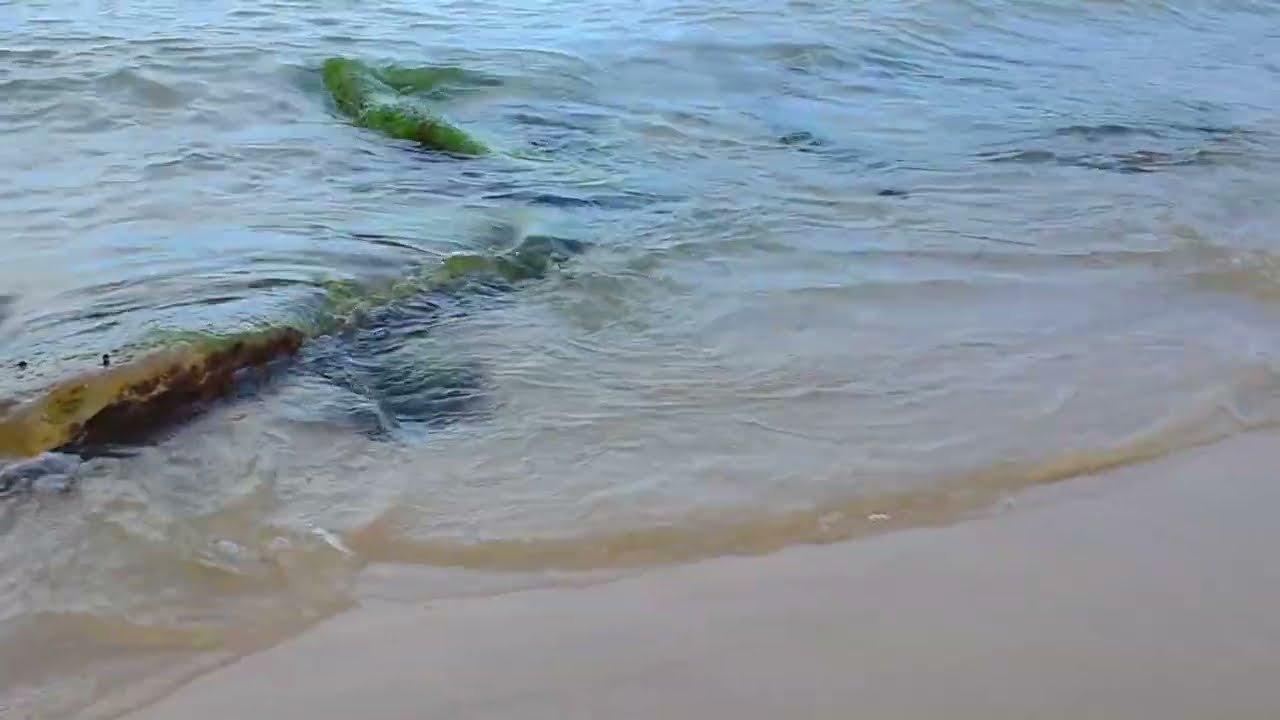 Sydney’s Quiet Beach Escape | Shoreline of Little Bay Beach
